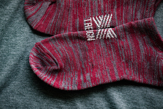 Arena No Show Sock